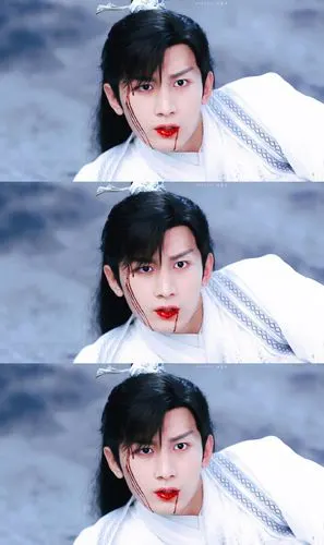 琉璃 禹司凤(成毅)