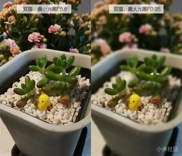 来两张双摄不同光圈的效果对比图,小光圈的前提下,双摄的虚化才比较