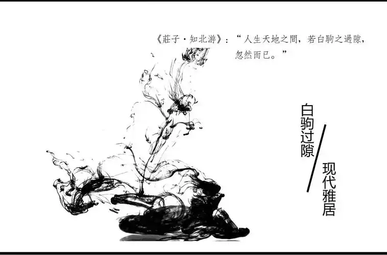 2017成功设计大赛参赛作品—白驹过隙现代雅居样板房