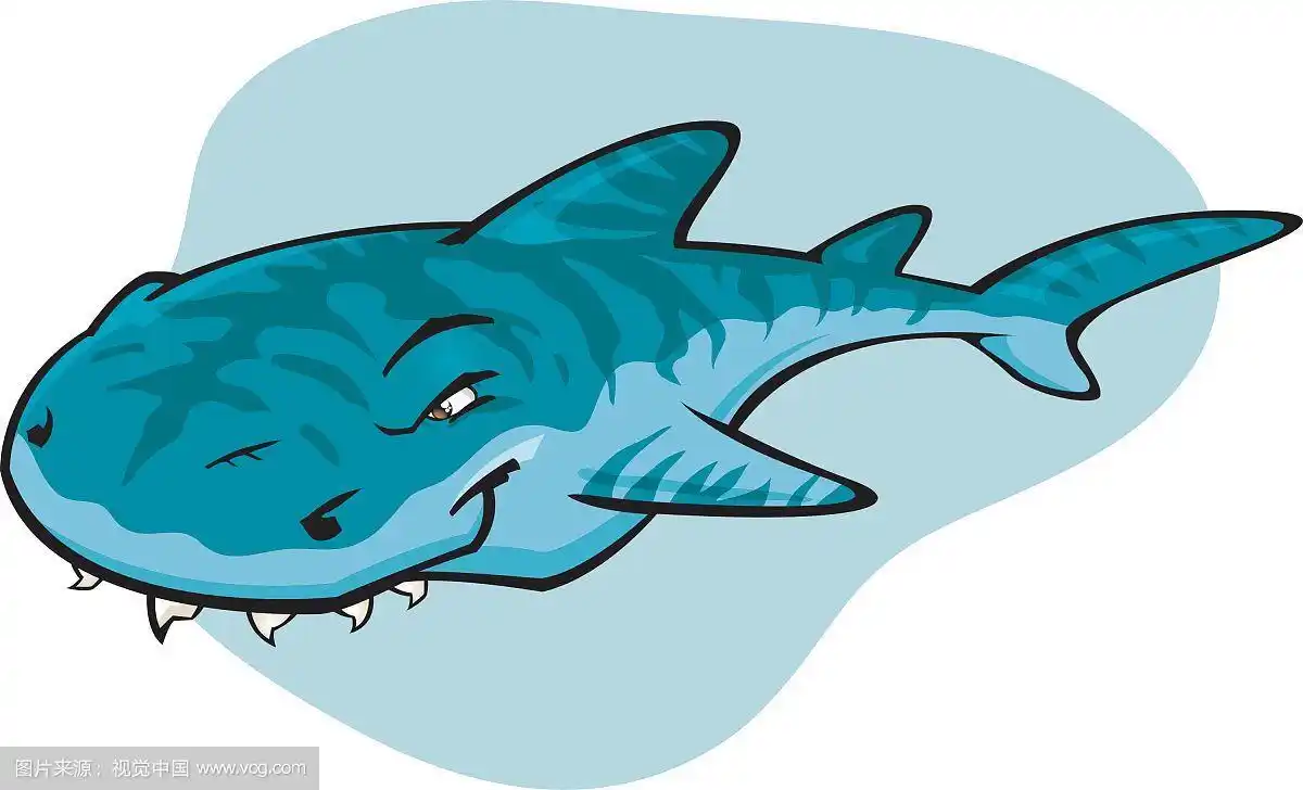 卡通虎鲨