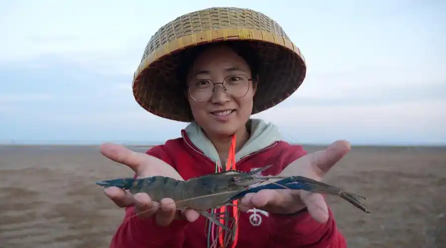 招潮虾觅食搁浅沙滩,被赶海的大梅撞个正着!