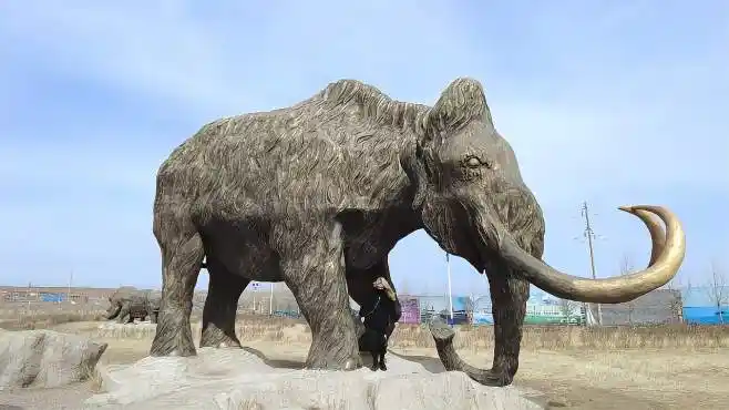 历史上猛犸象的真实大小和人类对比?-动物视频-搜狐视频