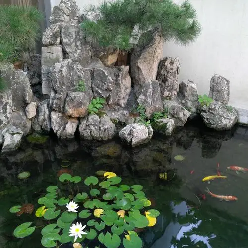 随手拍摄影团-庭院里的小池塘_随手拍-联想社区