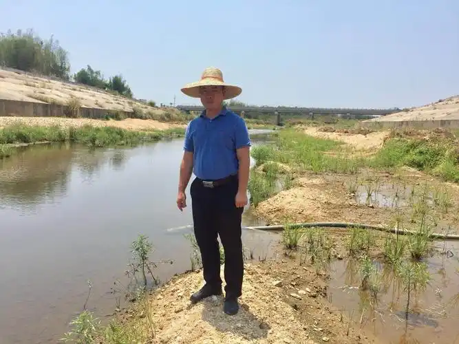 金江镇镇长何其位巡查海仔河