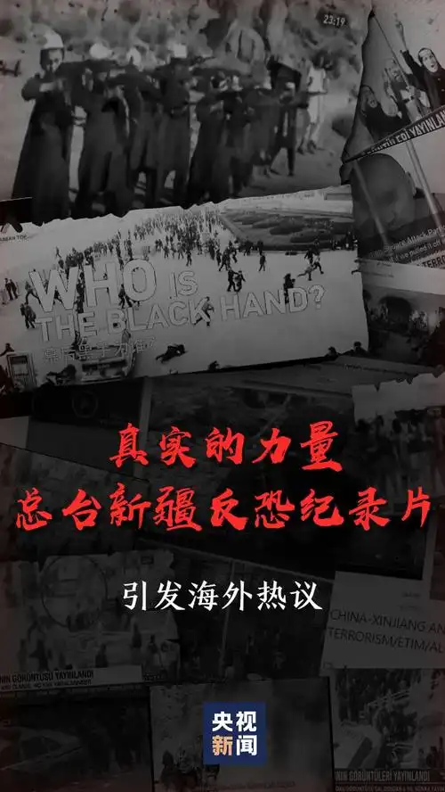 真实的力量 总台多语种新疆反恐纪录片引发海外热议