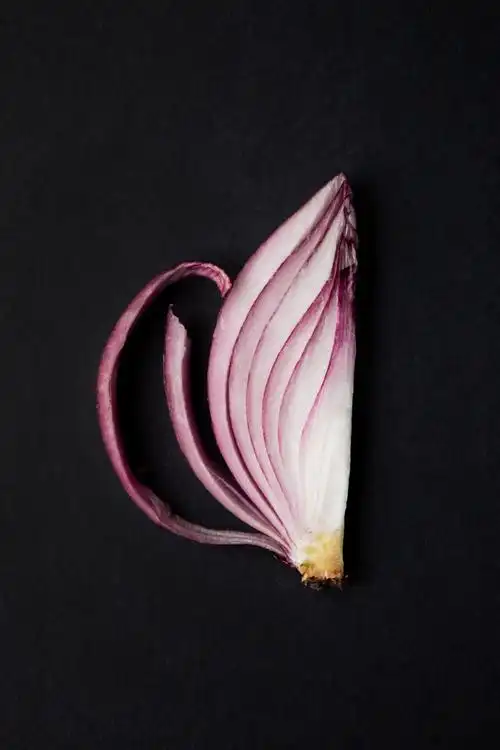 平面摄影生活一切皆可艺术