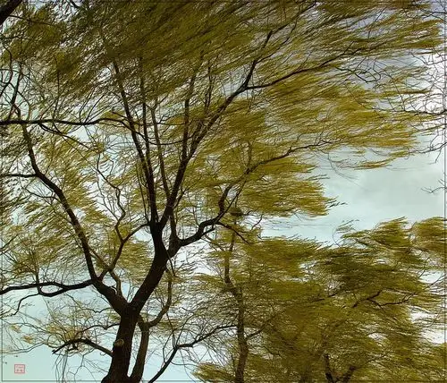 【纪实】遭遇狂风