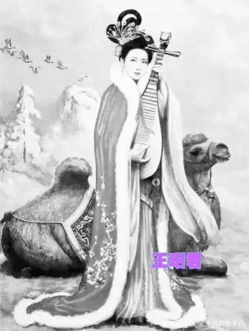 王昭君为啥选秀未被皇帝选中,还被赐婚塞外