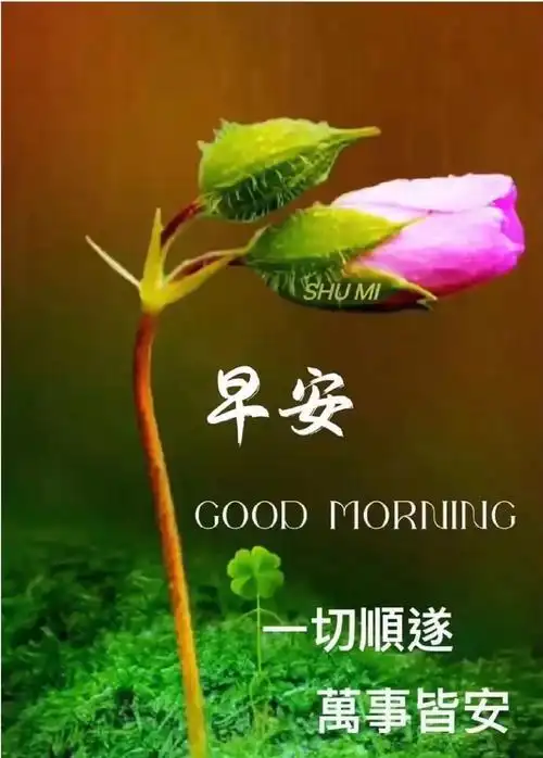 心若年轻,岁月不老,不负自己,不负光阴.早上好!