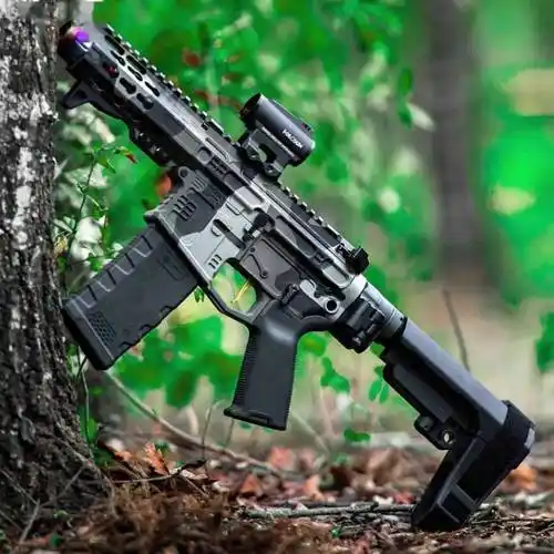 满屏的骚气加装了slr家配件的枪械美图欣赏