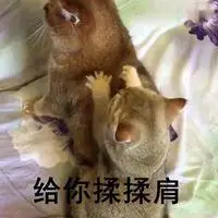 给你揉揉肩文字表情包_微信头像图片大全