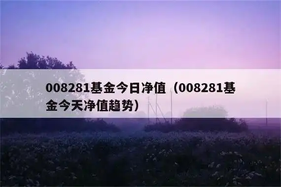 008281基金今日净值008281基金今日净值走势