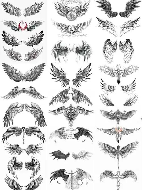 翅膀纹身手稿