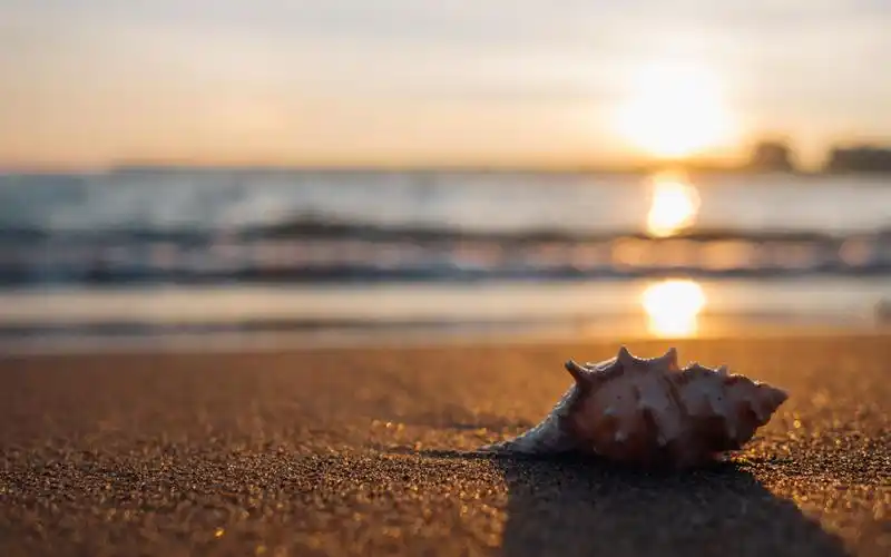 夏天细沙海滩唯美图片桌面壁纸