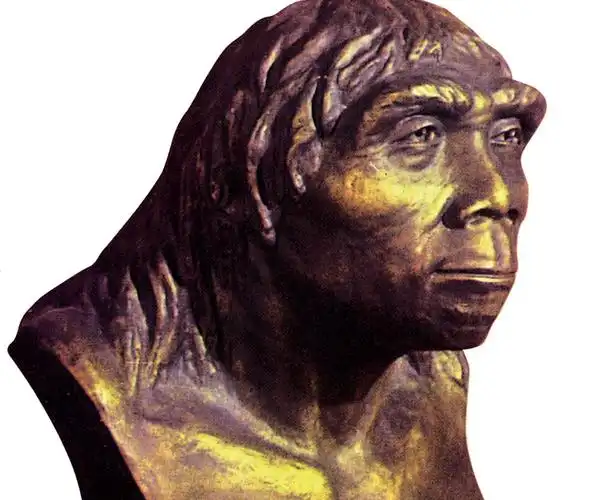 河姆渡遗址博物馆(浙江省馀姚市遗址性博物馆)_摘编百科