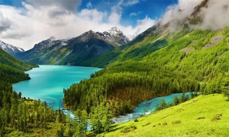 对眼睛好的桌面有哪些(绿色护眼的森林美景桌面壁纸) - 辣妈贝贝