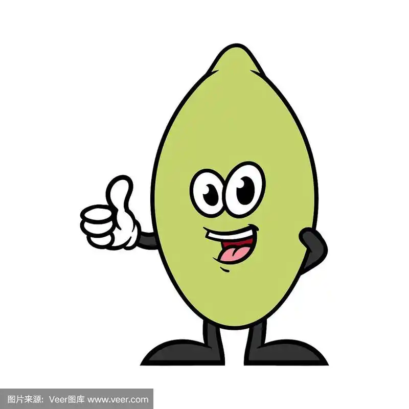 南瓜子,卡通,性格,种子,吉祥物
