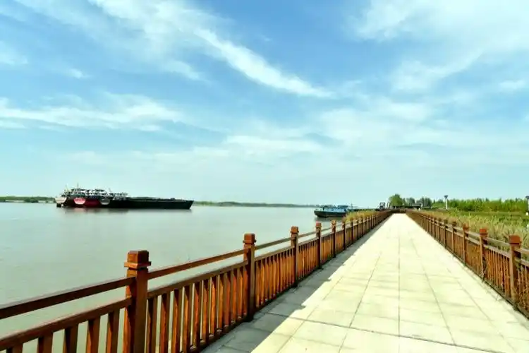 泰兴有个虹桥镇,彩虹惊艳长江岸线生态特色景观带