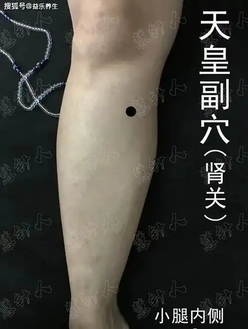 学董氏奇穴,轻松治发热