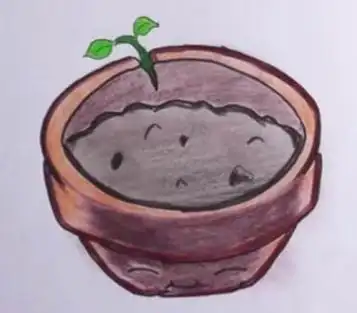 简单的胡萝卜简笔画画法步骤教程胡萝卜怎么画