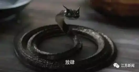 不要以为你是小黑蛇,我就会把你当做夜华!