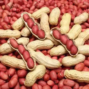 【干炒花生图片】干炒花生图片大全_q友网