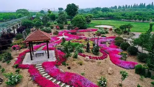 火遍抖音丹阳竟然有这么美的生态农庄就在家门口