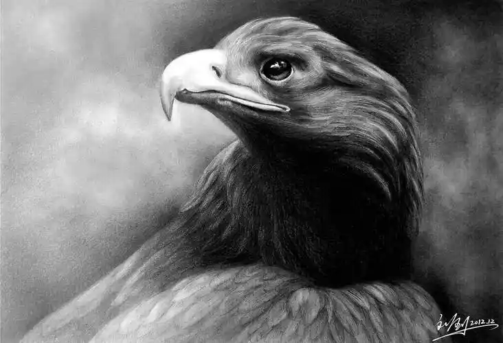 艺苑画室素描动物