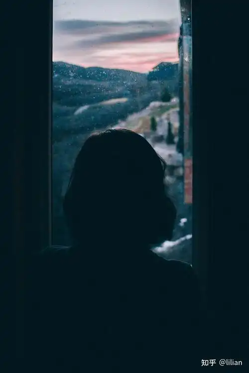 隔着窗户看雨,有一种别样的浪漫滋味.雨中的植物