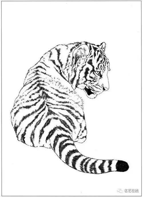 老虎简笔画虎凶猛