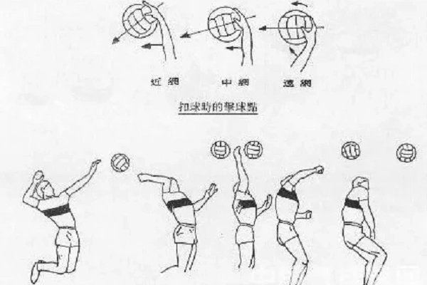 排球手势怎么握