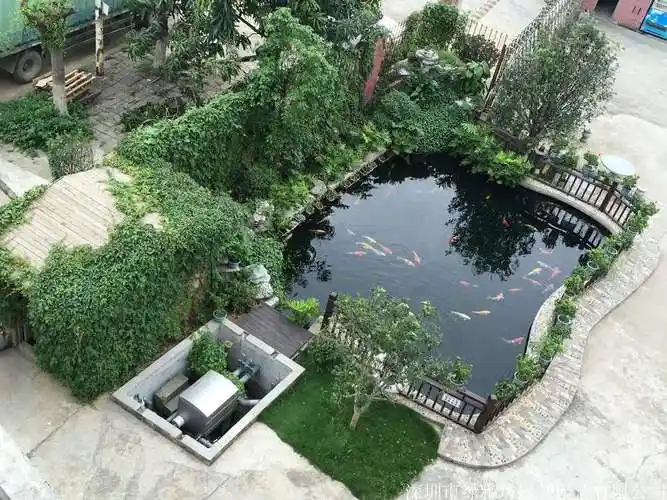 假山鱼池风水十大禁忌