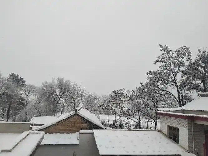 农村雪天图集