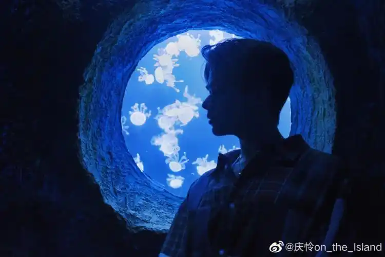 针不戳啊庆怜向全世界安利宝藏男孩庆怜