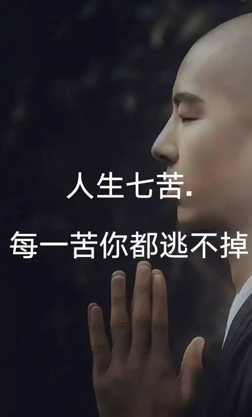 其它 轮回 写美篇  轮回 (散文诗) 顺风逆风, 那是岁月的感悟; 春去春