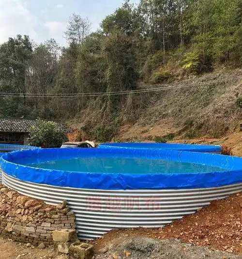 帆布养鱼池都可以养什么鱼,或者说什么鱼不能用帆布养鱼池来养呢?