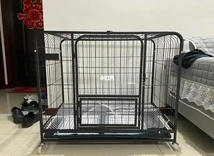 狗笼子拼装完成