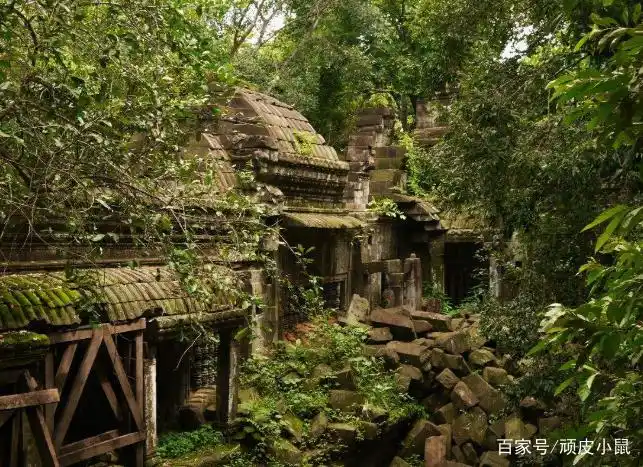 寺庙完全被丛林吞没,这座残留的遗迹,充满神秘的气息