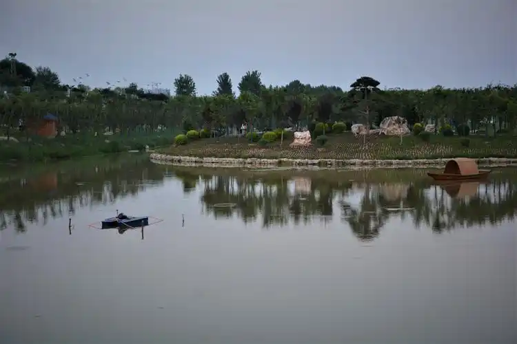 徜徉杨凌渭河湿地公园