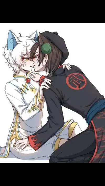 京剧猫白糖&武崧