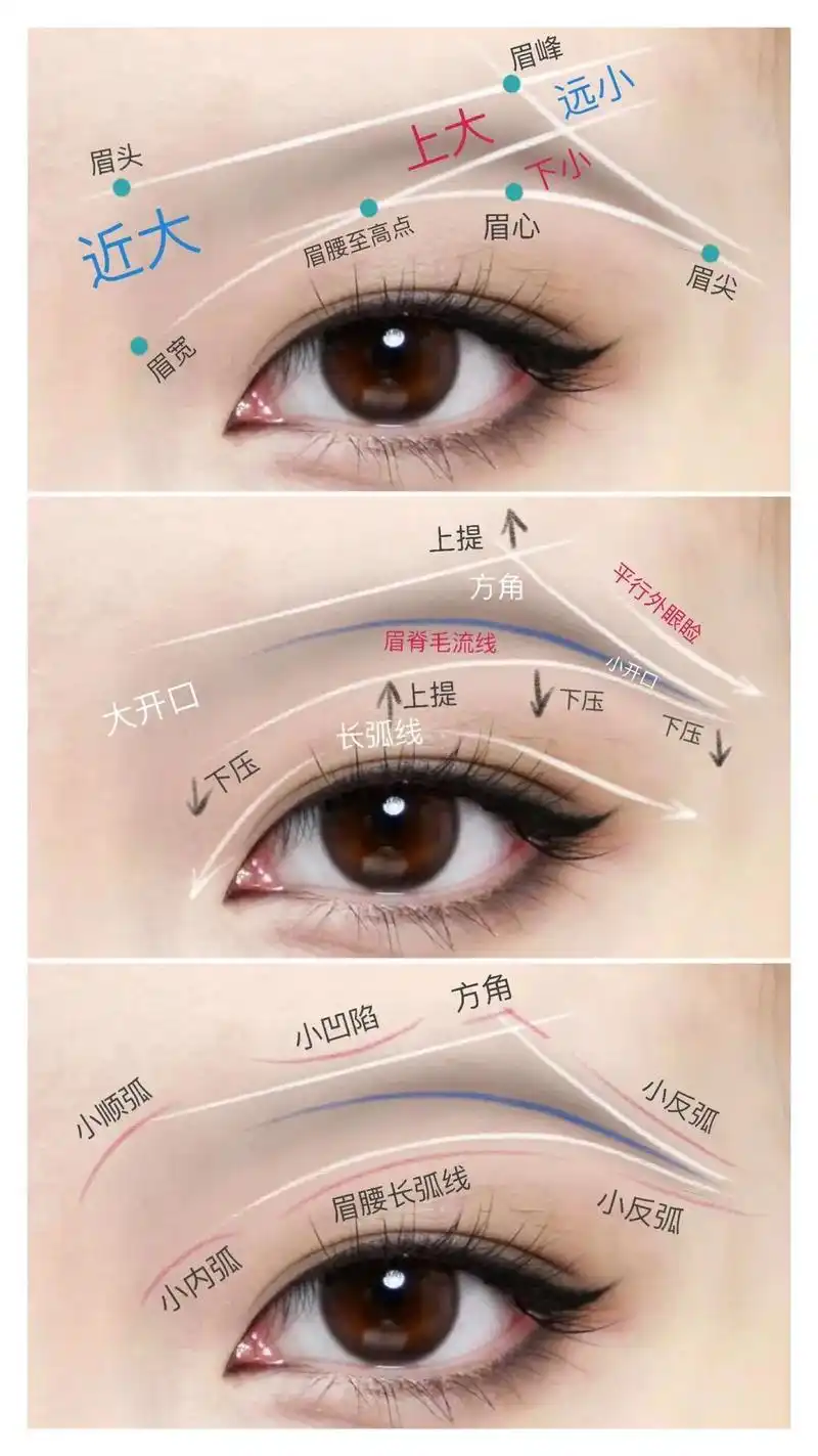 小白的野生眉怎么画可以收藏一下.