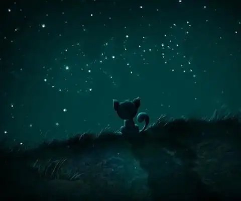 睁大白天被物欲遮蔽的双眼,想从昏暗的天花板看到改变人生的真知,"