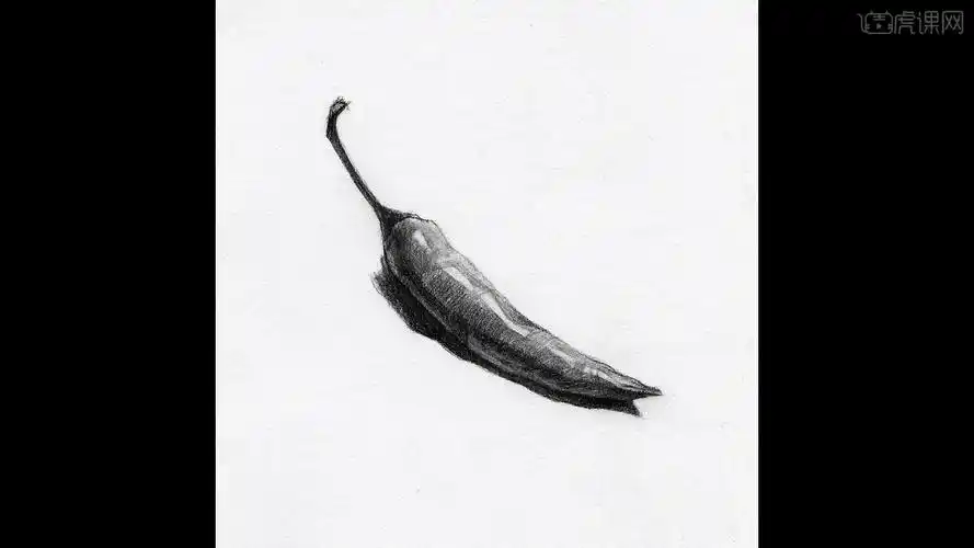 铅笔-素描静物系列课-尖椒图文教程