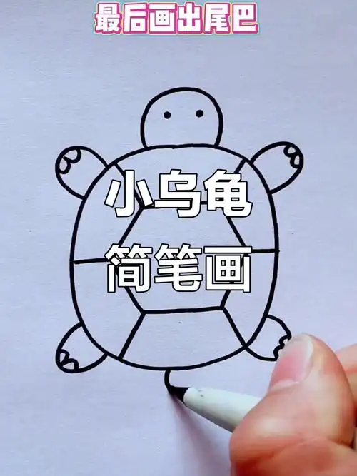轻松学画小乌龟,简单又有趣