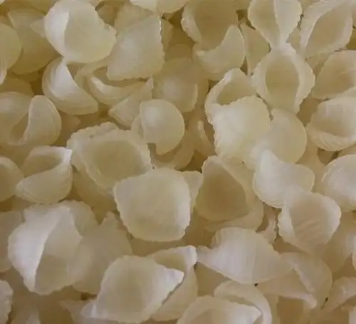 厂家直销 蚬壳型通心粉 意面意粉 餐厅专用粉 空心粉