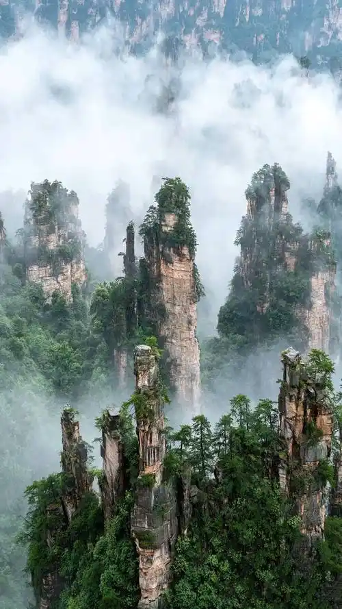 张家界旅游5天旅行攻略和大概行程费用张家界5日游具体花销多少看完避