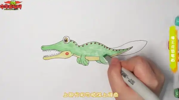 海王龙的儿童简笔画
