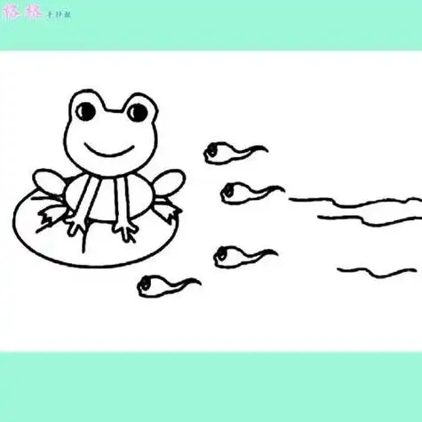 小蝌蚪找妈妈青蛙妈妈蹲在荷叶上的简笔画
