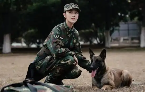 号手就位江苏开播李易峰张馨予揭火箭军神秘面纱