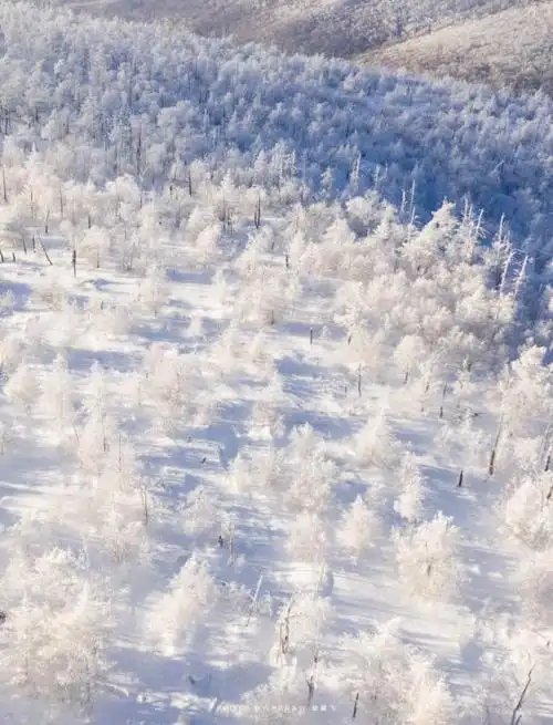 诗句里竟然藏着内蒙古的冬天!